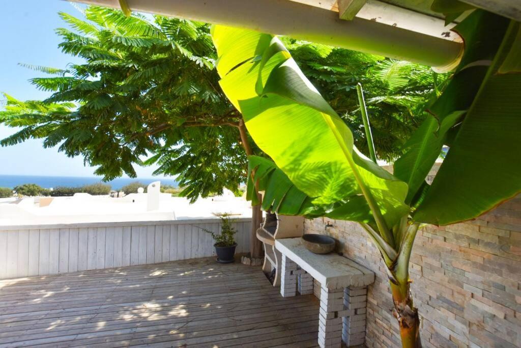 Book Jet - Costa Calma Blue Ocean Dream Terrace公寓 外观 照片